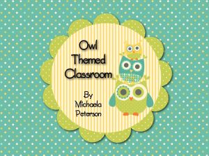Owl Theme Classroom